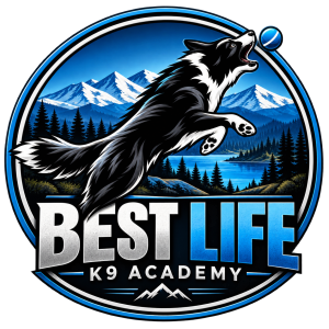 Best Life K9 Academy