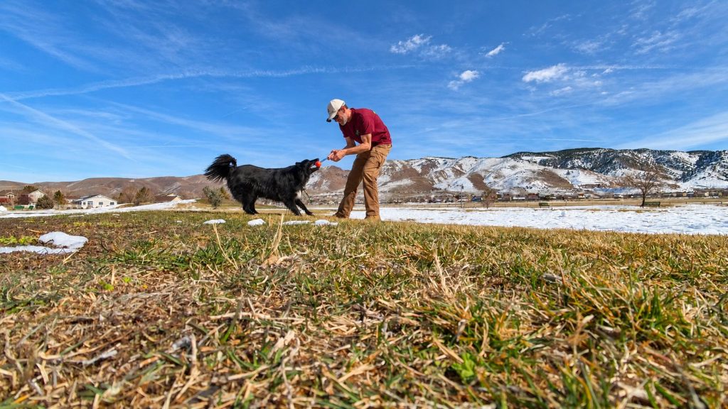 Raven playing tug with his trainer in a grassy field with snow-covered mountains behind them.